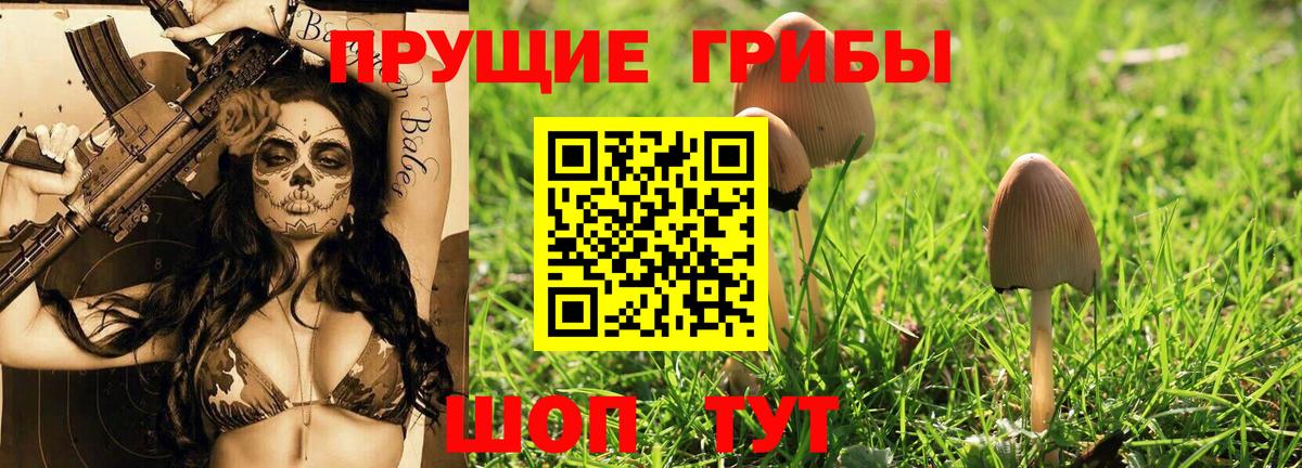 Сальск  Галлюциногенные грибы мицелий  Вход с VPN 